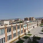 Pacifico 18