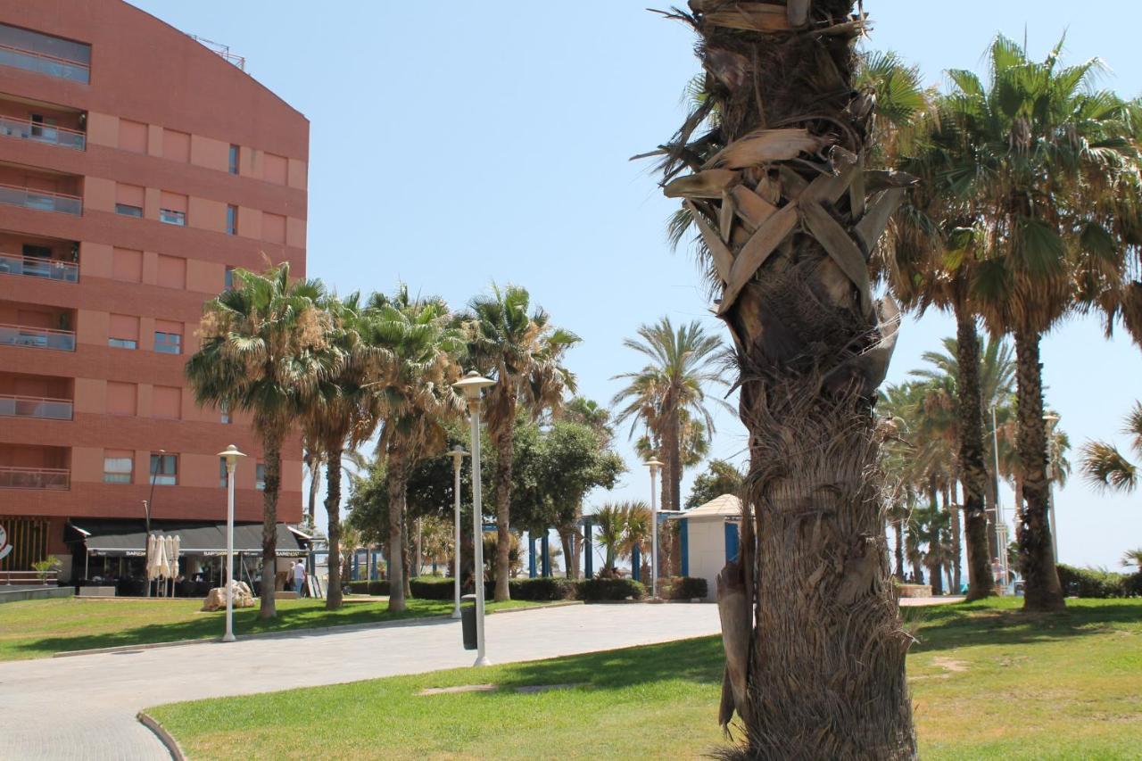 Pacifico 18 * Malaga