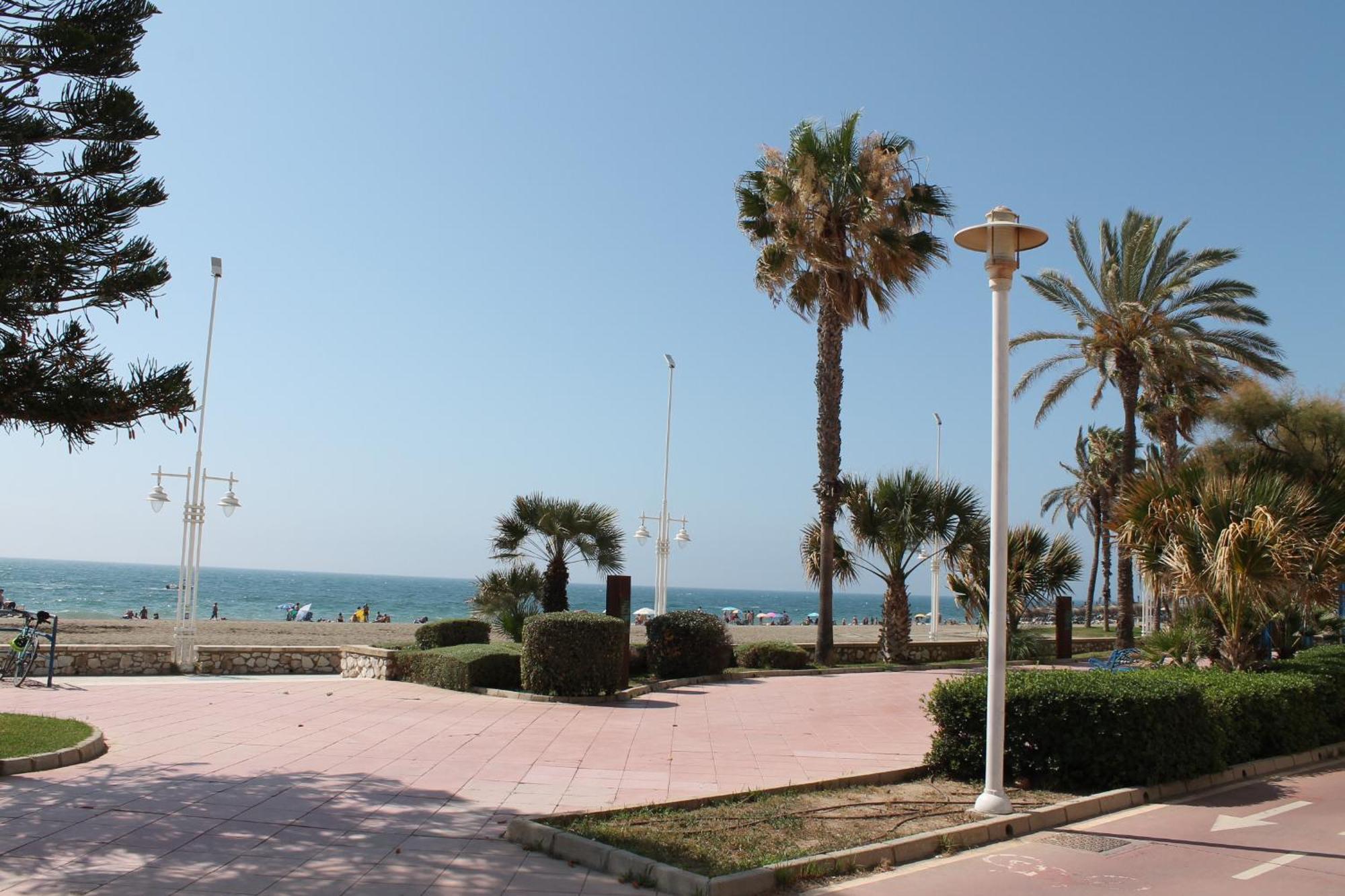 Pacifico 18 * Malaga