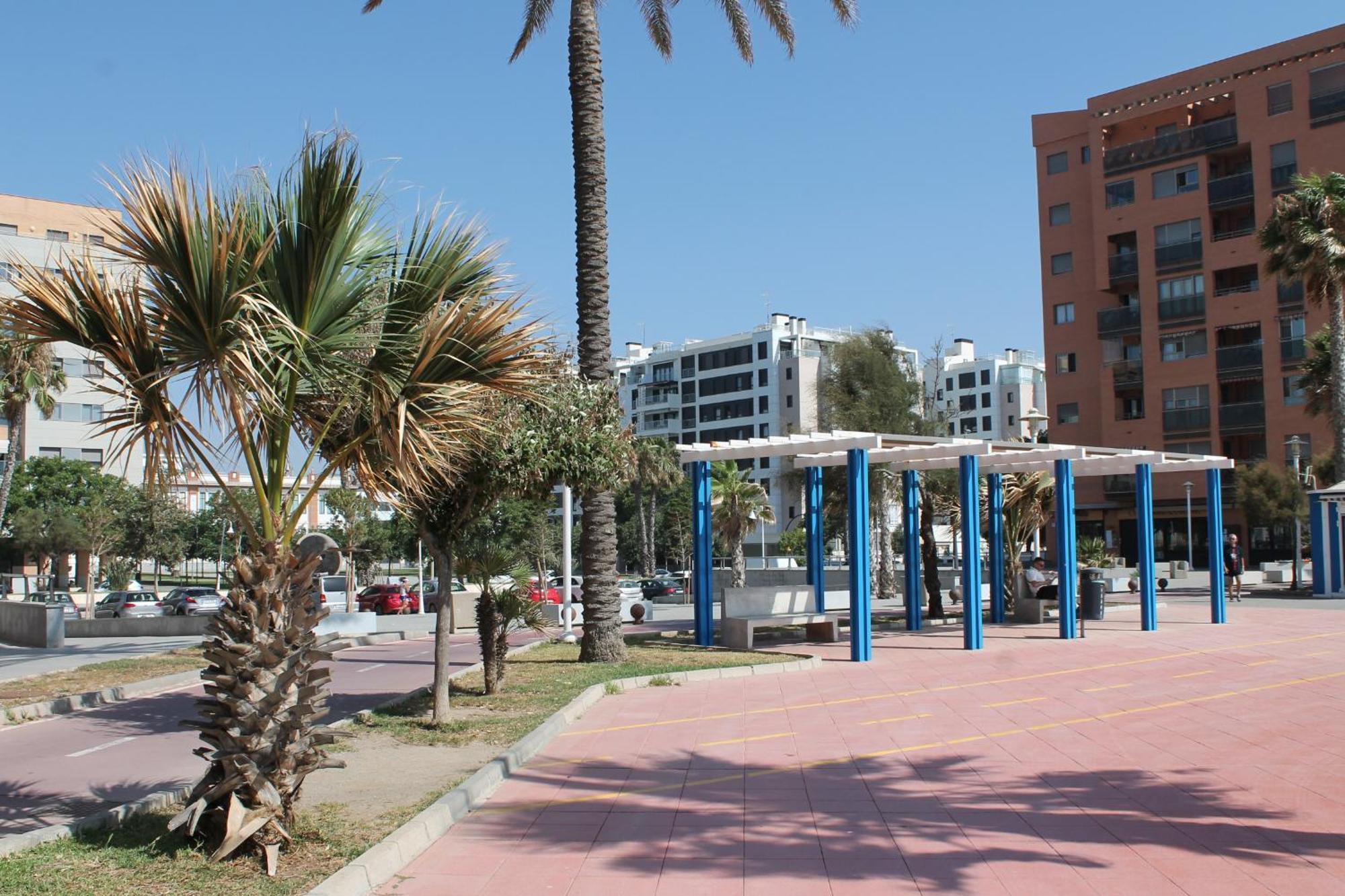 Pacifico 18 *